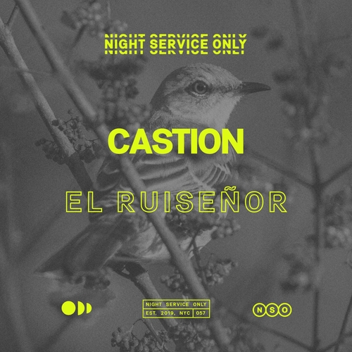 Castion - El Ruiseñor (Extended Mix) [NSO057] AIFF